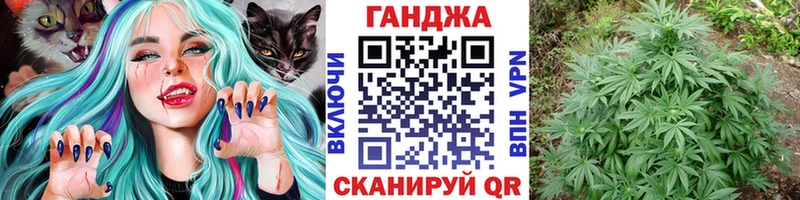Шишки марихуана марихуана  Купить закладки  Горно-Алтайск 